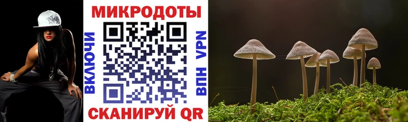мориарти телеграм  Палласовка  Псилоцибиновые грибы мицелий  даркнет сайт 